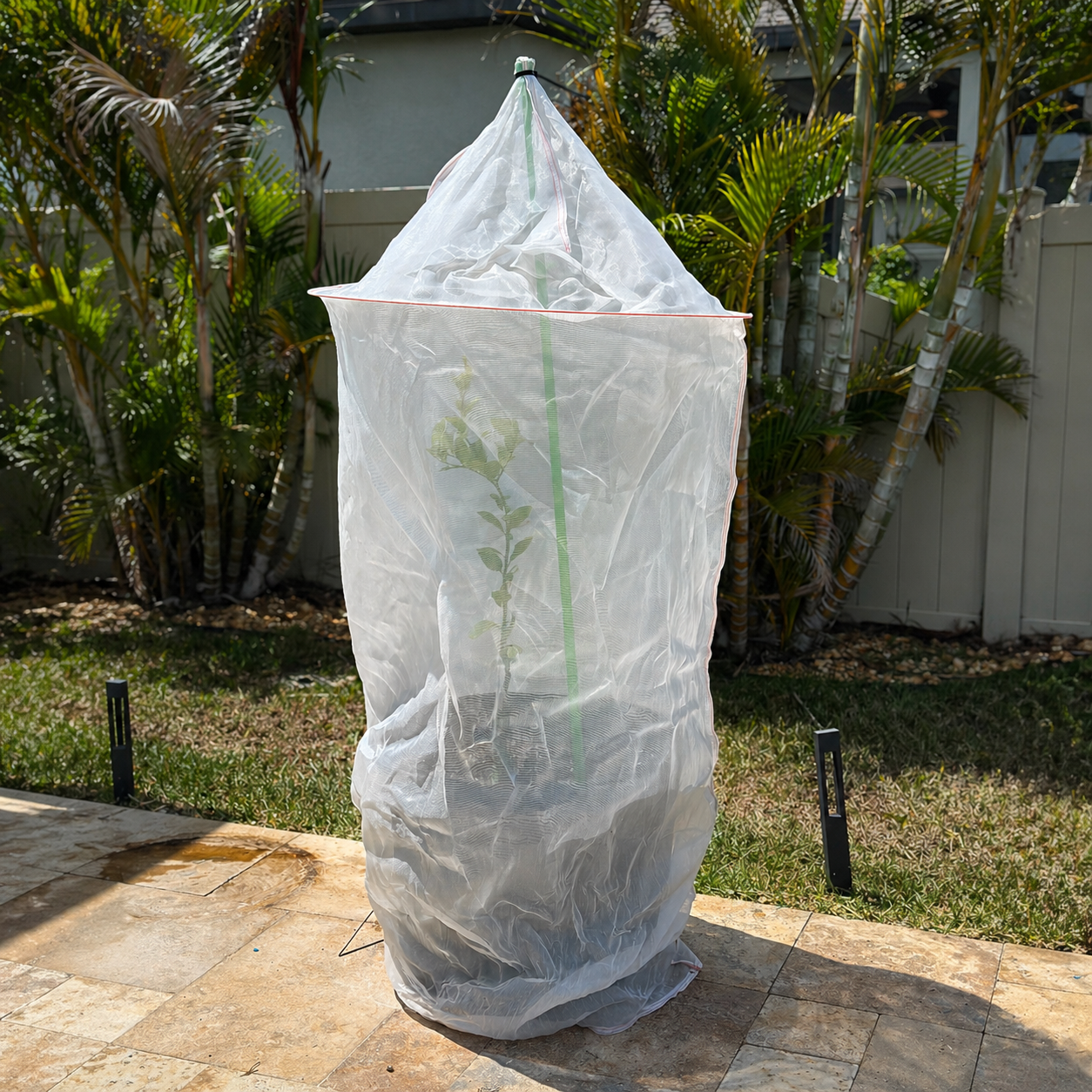 Do Tree Covers Actually Work? What Backyard Growers Need to Know-Tree Defender
