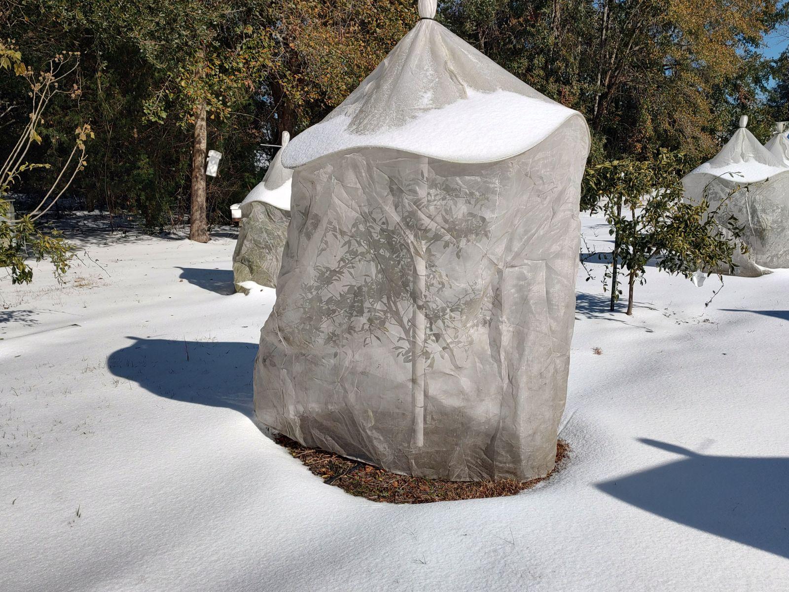 A Haven When Winter Weather Comes Knocking-Tree Defender
