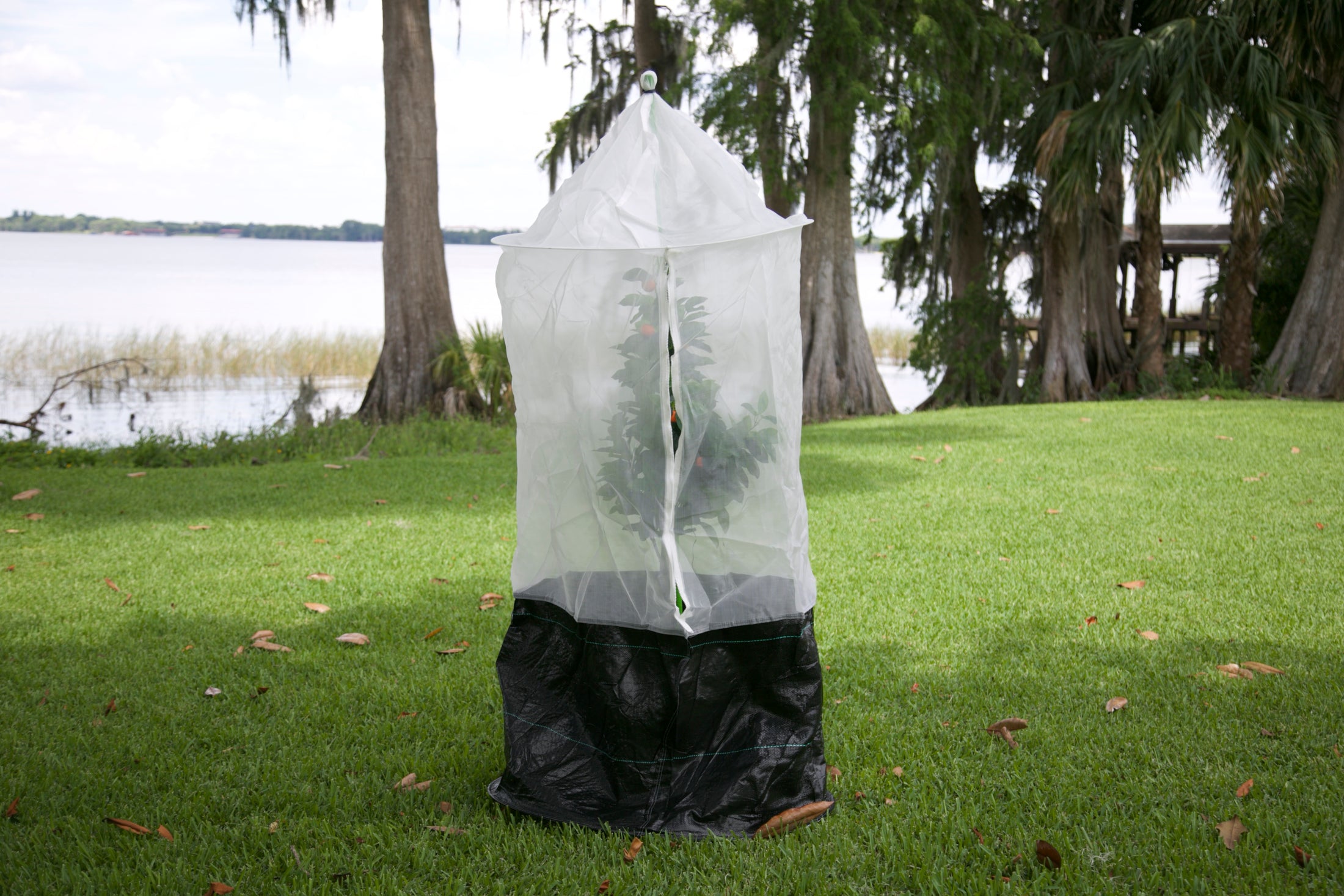 Skirted Tree Defender protecting a young tree on a grassy lawn beside a lake. The breathable mesh cover includes a front zipper and a black skirt secured around the base.