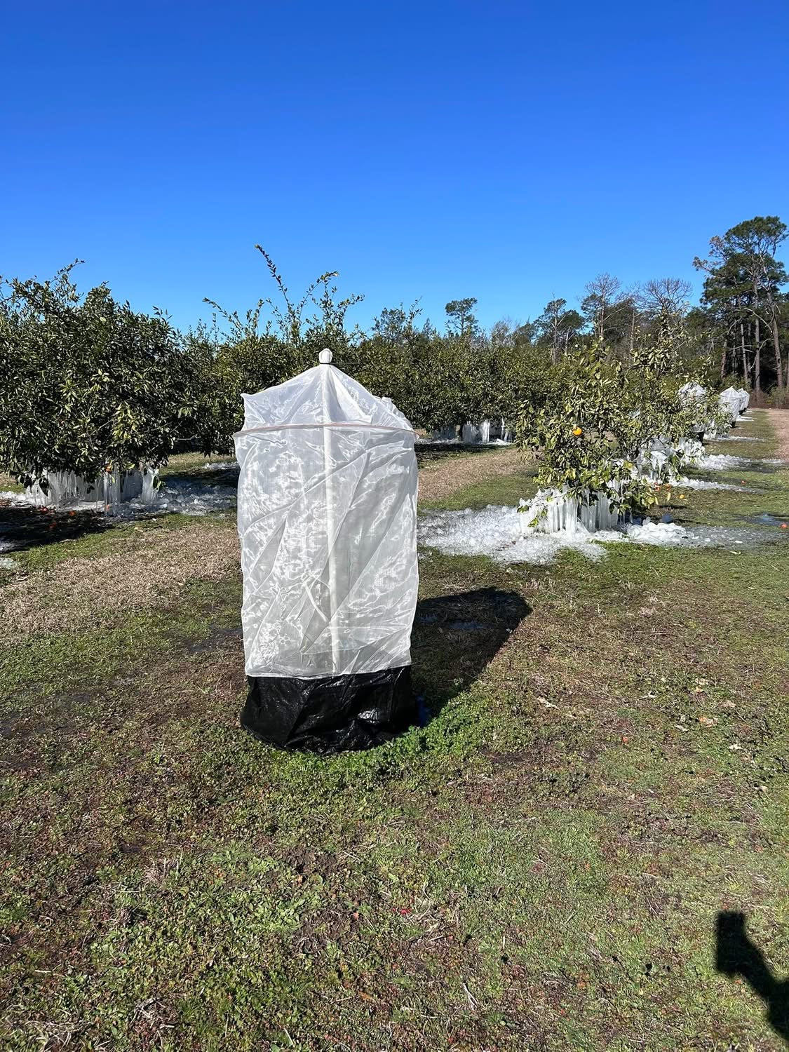 Tree Defender 6' Zipper with Skirted Bottom-Tree Defender