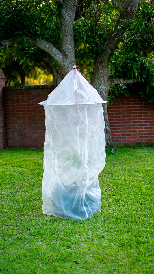 Tree Defender 6-foot plant protection system covering a young tree on a grassy lawn.