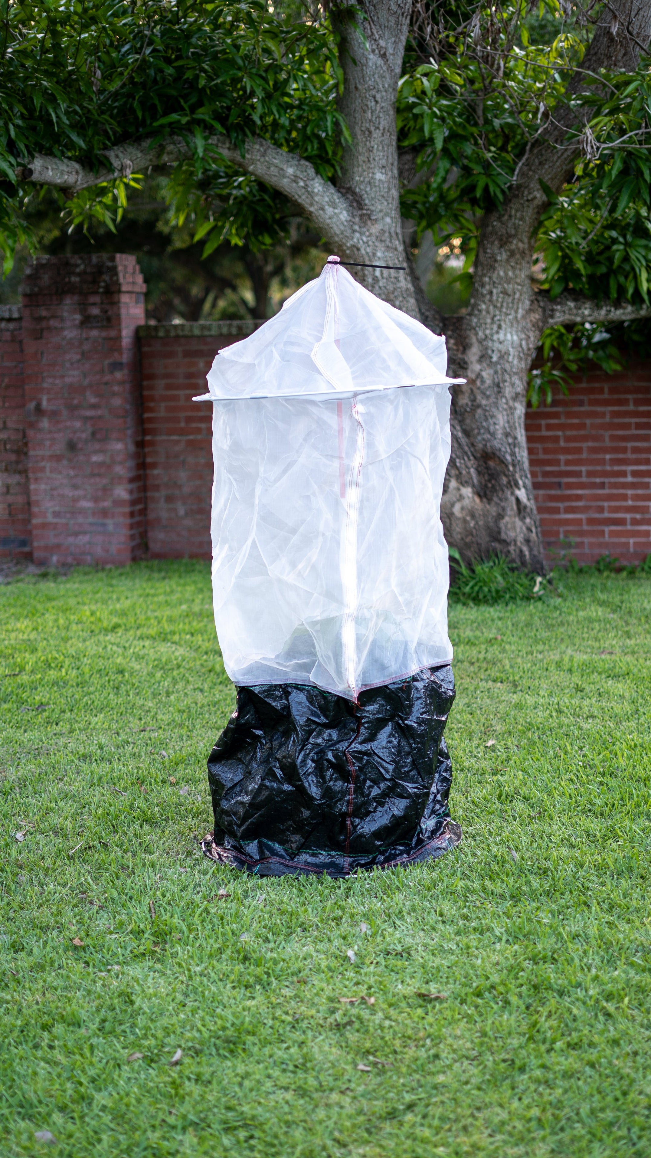 Tree Defender 6' Zipper with Skirted Bottom-Tree Defender. Skirted Tree Defender protecting a young tree on a grassy lawn. The white mesh cover has a secured top and a black skirt secured around the base.