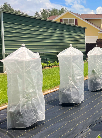 Tree Defender 6' Plant Protection System-Tree Defender