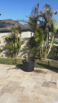 Load and play video in Gallery viewer, Tree Defender 6' Plant Protection System

